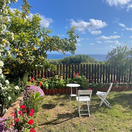 Appartamento Lavigna Marina di Camerota Exterior photo
